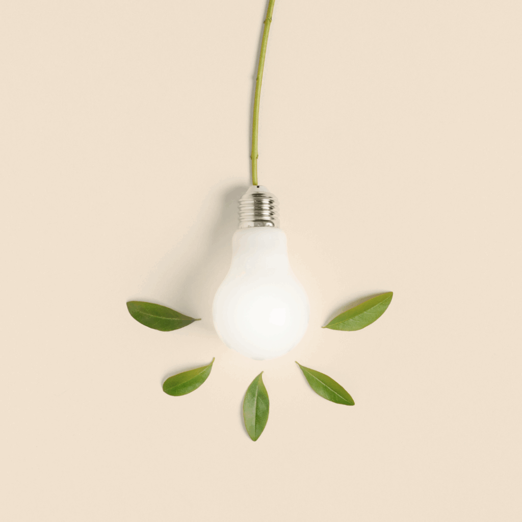 lightbulb with leaves around it